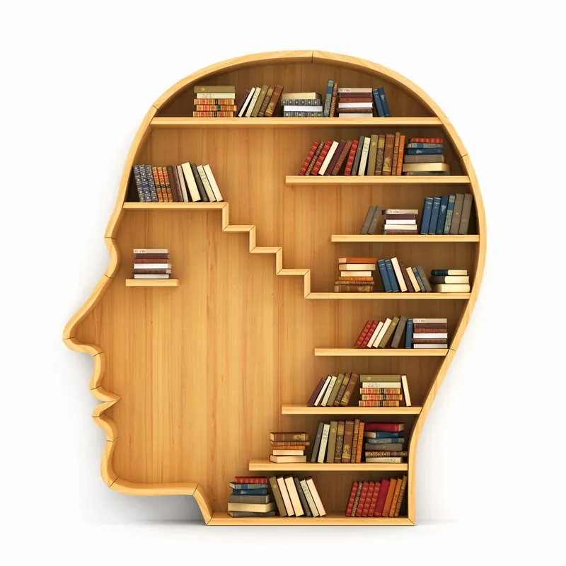 A bookshelf shaped like a head